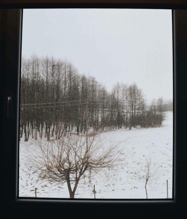 Eko Zagroda Bocianie Gniazdo Mikołajki Exterior photo